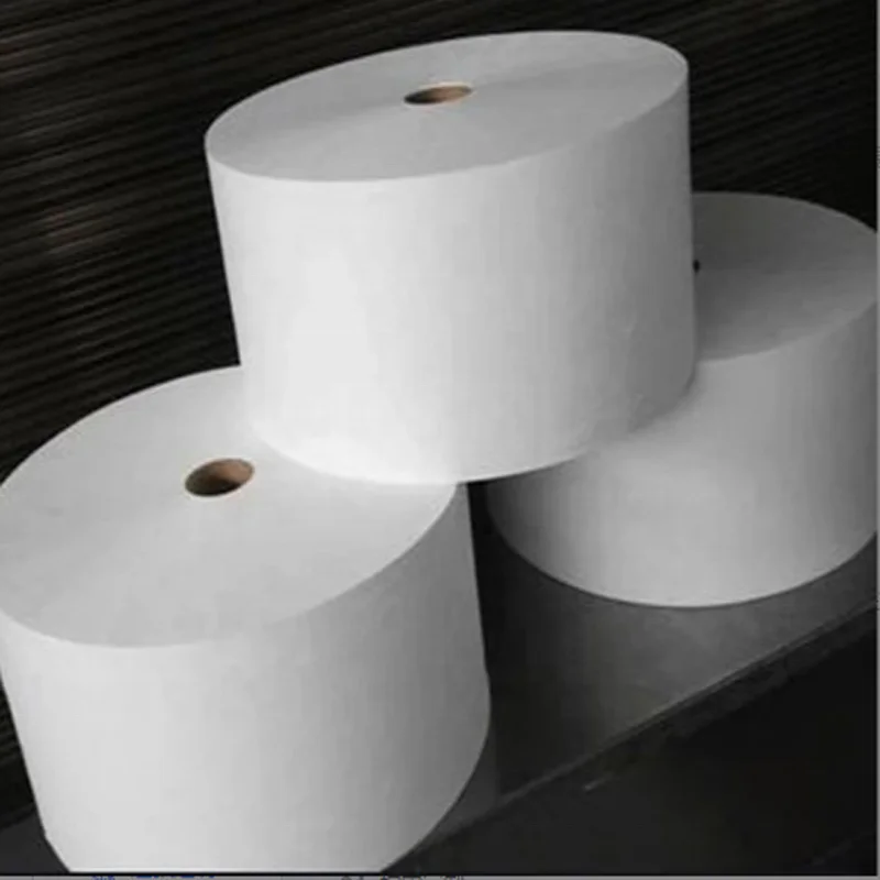 180days compostable polylactic acid 50g non woven PLA fabric rolled customize