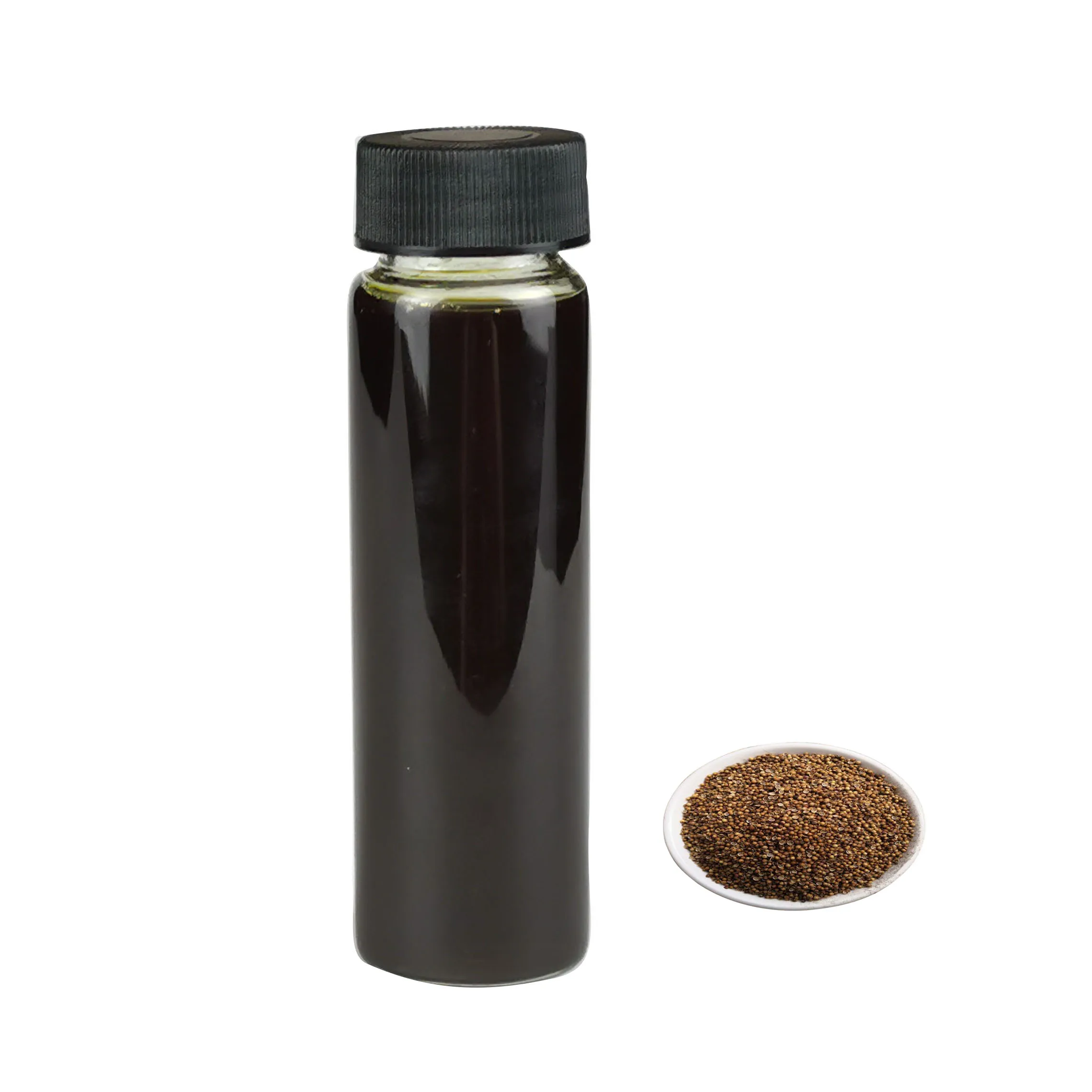 Food Grade Pure Essential Oil Bulk Coriander seed Oil Prices With Free Sample