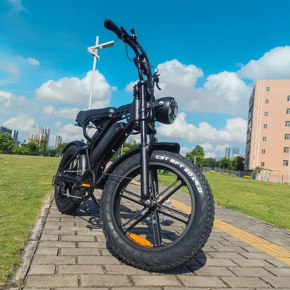 V20 V8 версия с двойной батареей Ebike задним сиденьем Fatbike 250 Вт