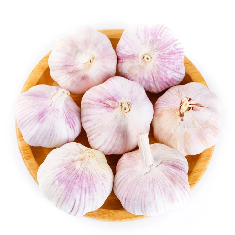 Grade Fresh garlic/Normal White Garlic/Pure White Garlic for sale