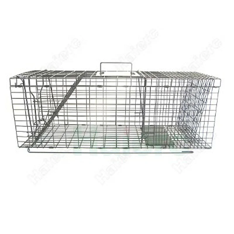 Haierc collapsible human animal trap cage for rat & possum &raccoon & wild cat trap cage
