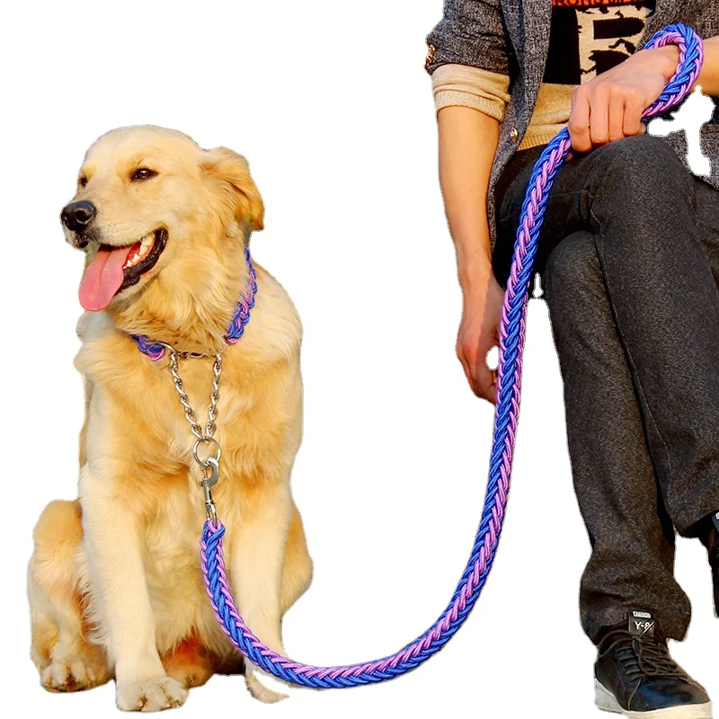 2021 Upgraded two-color collar hachiko braided  dog leash