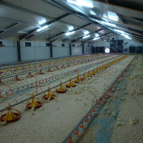 China factory price modern style steel frame structure poultry farm house design shed/chicken farm house building