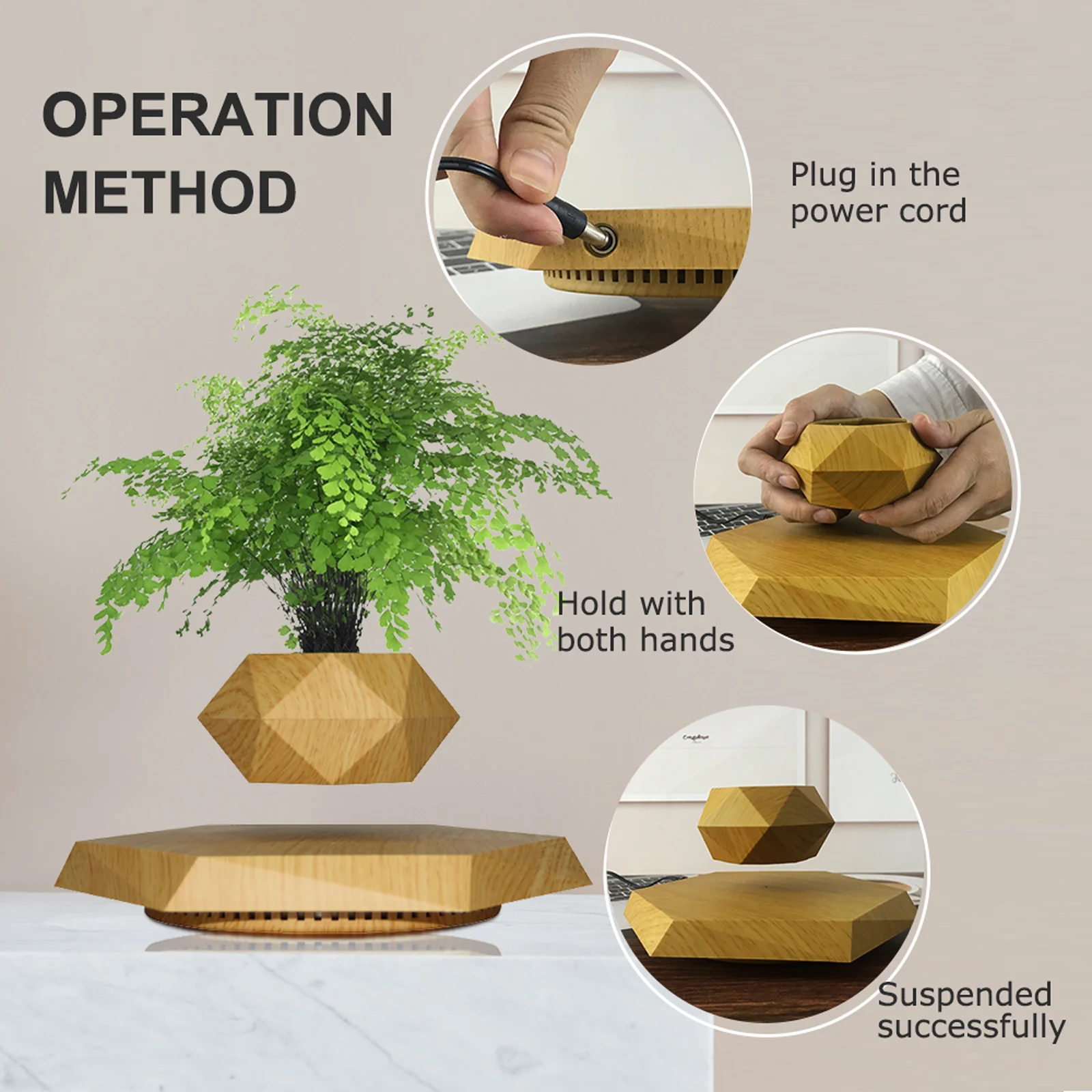 Wood Mini Plant Live Trees Cycas Revoluta Magnetic Levitation Floating Flower Air Bonsai Pot