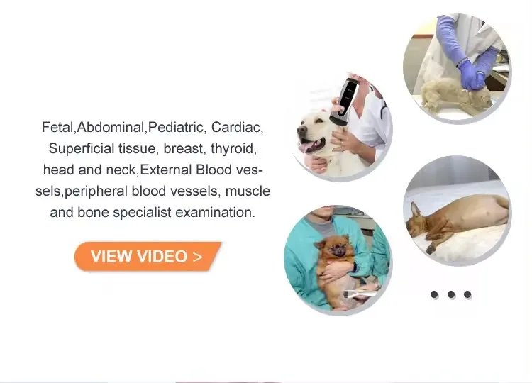 USB Wireless wifi Mini Handheld Scanner Pet Animal Monitor Probe Portable Vet Ultrasound Machine for Veterinary Use