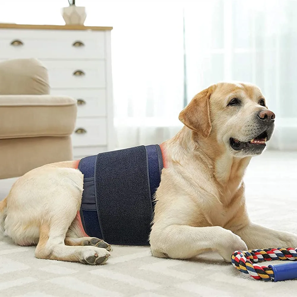 CE FCC RoHS certified red light theapy pad small for little pets cat dog treatment medical red light therapy device