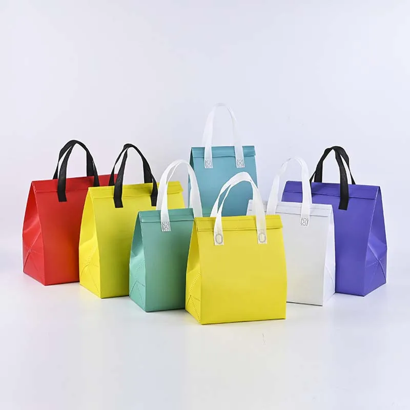 Outdoor Picnic Beach Reusable Lunch Pail Leakproof Cooler, Tote Freezable Insulated Lunch bags with Adjustable Strap/