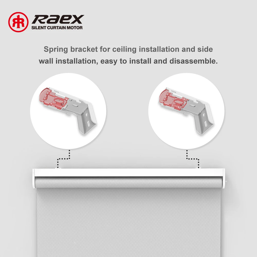 Day And Night Double Layer Tube Motor For With Solar Cells Tubuar 24 Vdc Alexa Smart Electric Blinds Motorized Roller Shade
