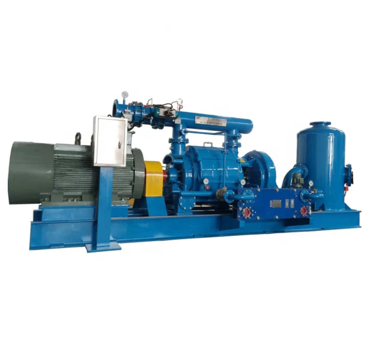 Вакуумный насос серии 2BE1 для электростанций 2BEP Тепловая электроэнергетика