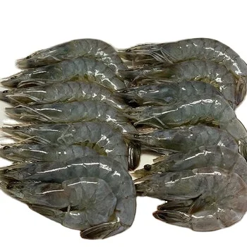 Black Tiger Shrimp Fresh 100% High Quality Export Oriented Frozen Shrimp 150gm Kg Flavored from BD 10TONS