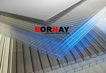 Langfang bonai  Wholesale UV Resistance Transparent Custom Color  Sheet Polycarbonate PC Hollow Sheet