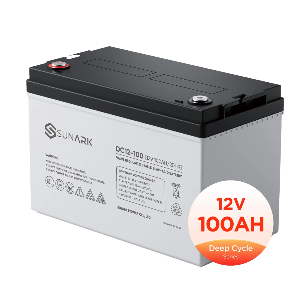 SunArk Free Oem Batterie 12 вольт 100Ah серверная стойка с глубоким циклом AGM клапан регулируемый аккумулятор