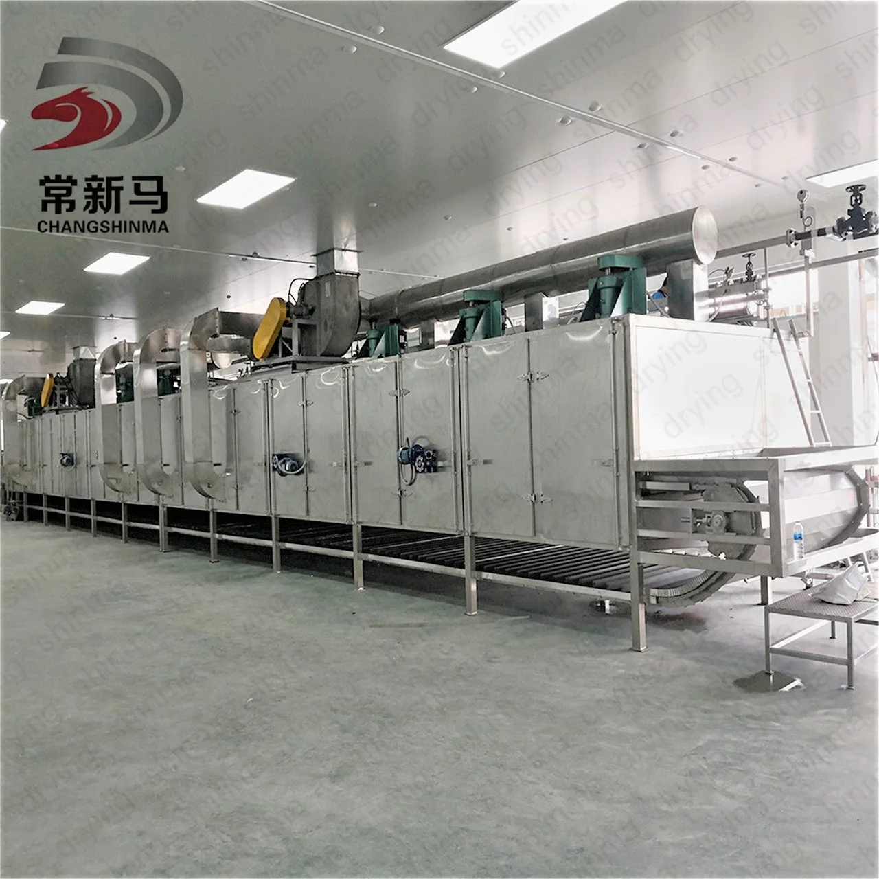 sea tangle vegetables gulfweed sargassum seaweed mesh continuous conveyor band belt dryer machine drying equipment