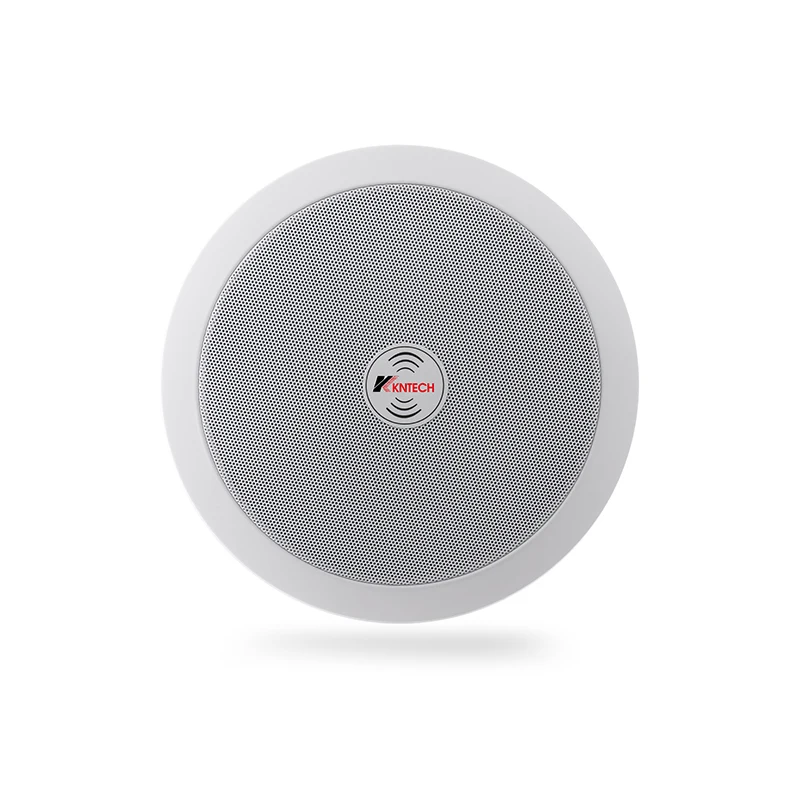Professional 6W L9 Loudspeaker Waterproof Audio Class D Ceiling Speaker with Metal Shell OEM Watt Radio Body Professional Power