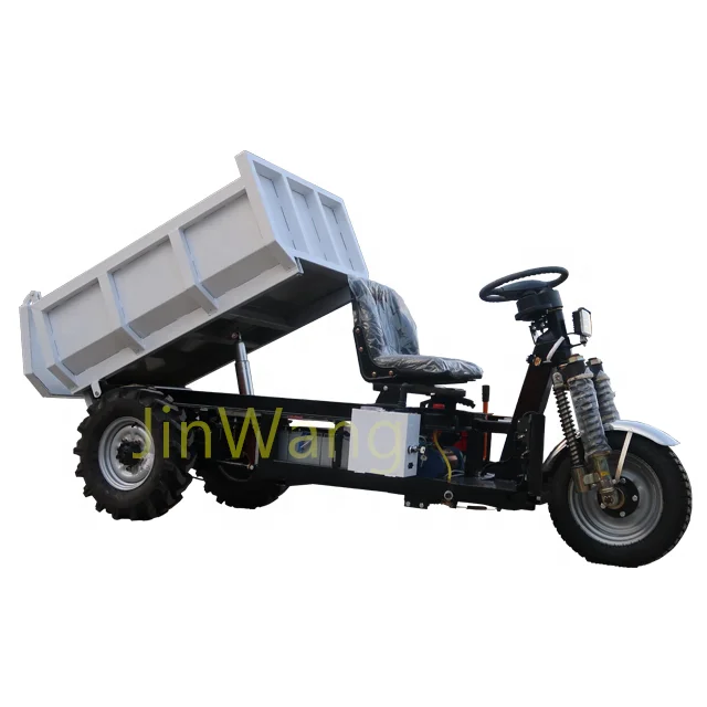JinWang 3000W Three Wheeled Vehicle Mini Dumper Cargo Truck Electric Motorcycle Tricycles for Sale