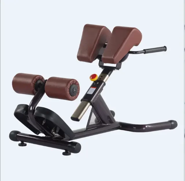 Extension Hyperextension Back Exercise AB Bench Gym Abdominal Roman Chair