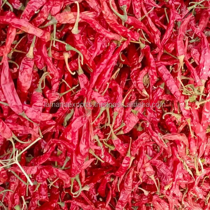 Guntur Super Dry Red Chilli S4 Sannam S334 Stemless India Chilli Premium Quality for China, Thailand