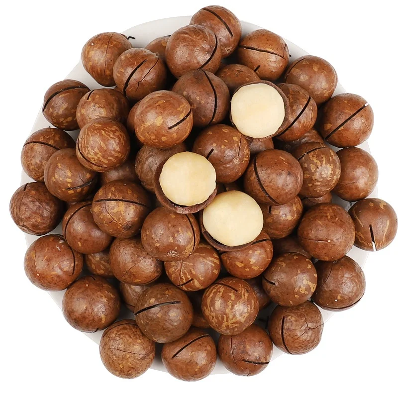 Жареные орехи макадамии, семена макадамии, оптовая продажа, высокое качество, 100% чистый натуральный органический большой размер, макадамия, OEM-сервис