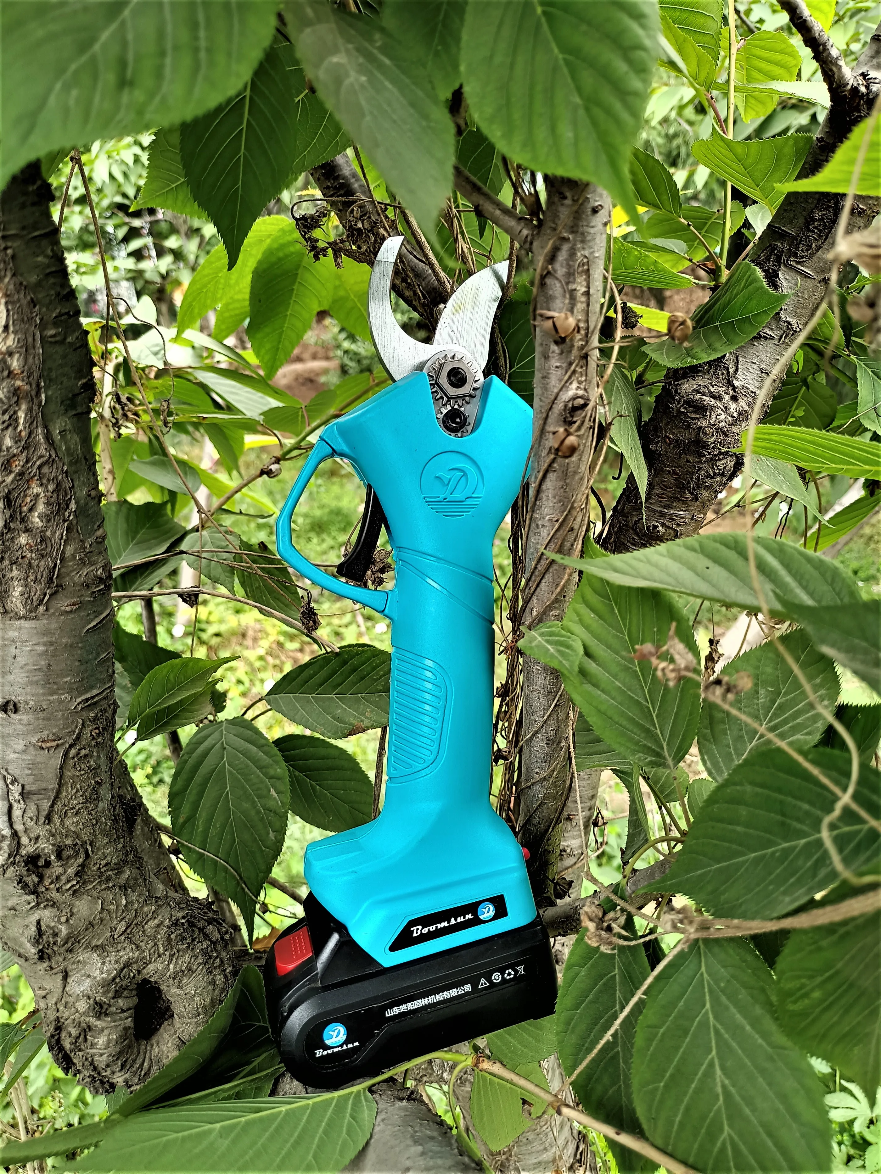 electric pruning shear.jpg
