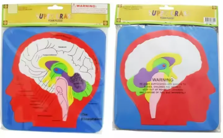 Custom EVA Human Organ Learning Puzzle Soft Rubber Digestive System Simulation Toy for Kids Learning