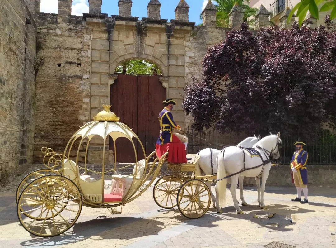 Princess Luxury Pumpkin Wedding Carriage Romantic Stylish Electric Horse Carriage Made of Steel Factory Price