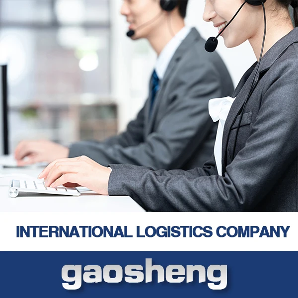 super express courier door to door dhl china to new zealand