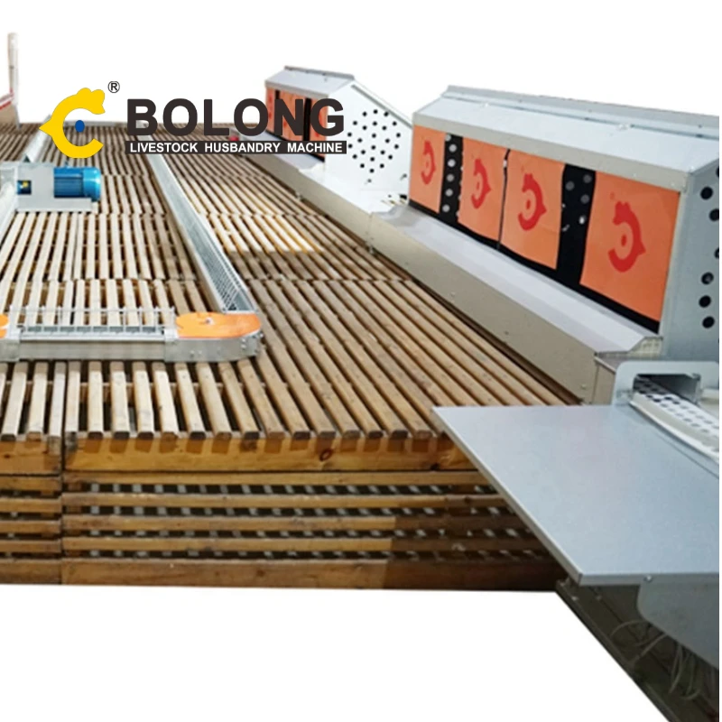 BOLONG poultry automation equipment chicken poultry farm equipment free range chicken barn