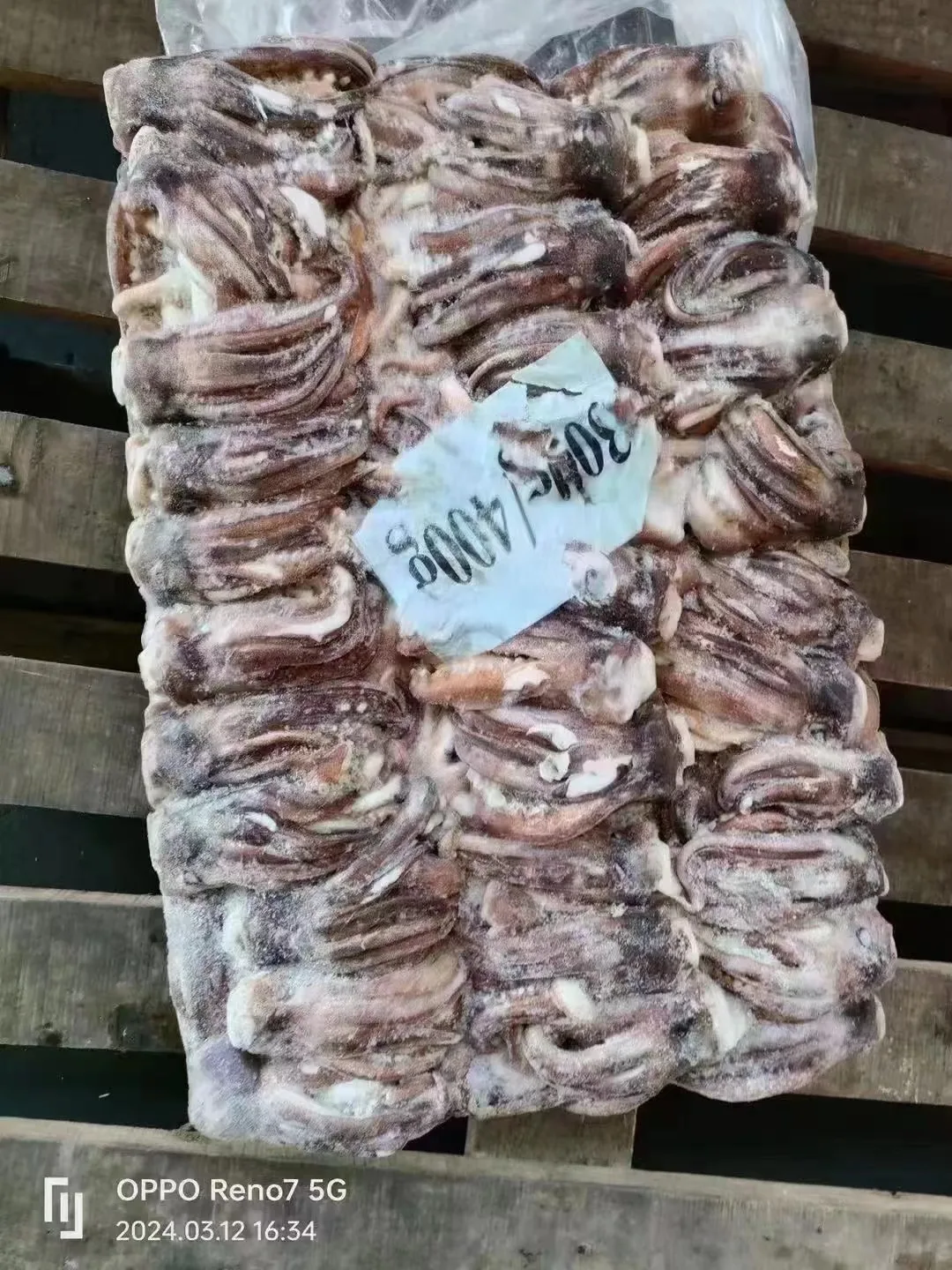 From Taiwan Wholesale Raw Meat Processing Calamari Tentacles Material Argentina Frozen Illex Squid Head