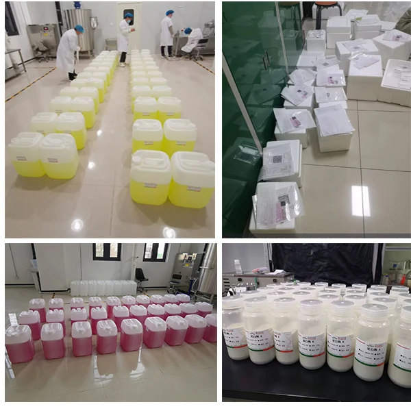 Competitive Price High Performance  Mach1-T1 Chemically competent cells