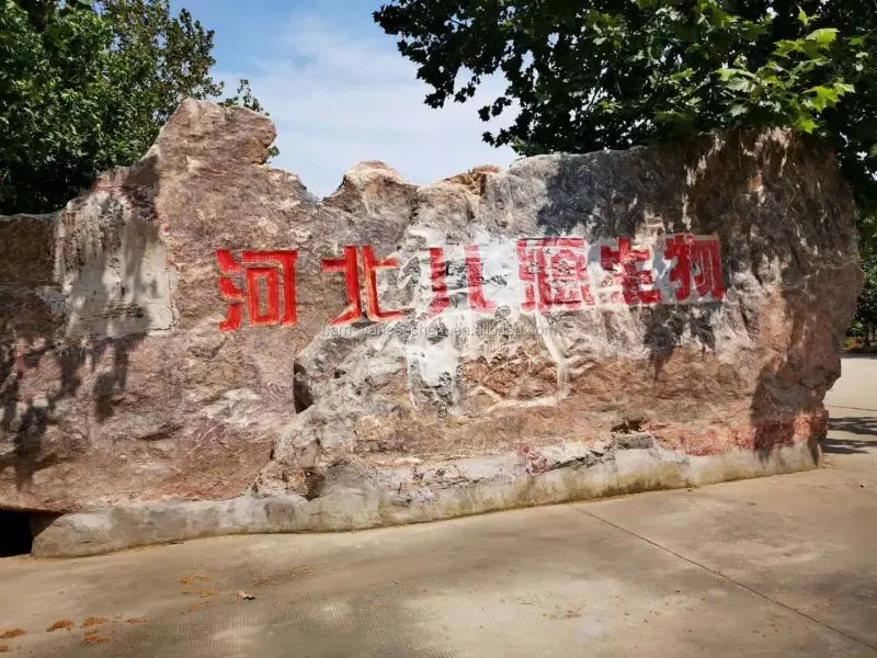 magnesium sulfate hepta powder fertilizer