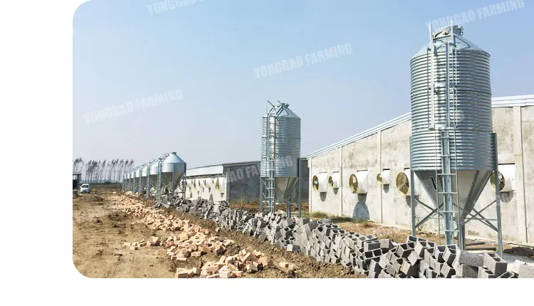 Automated Feeding System Farm Husbandry Intelligent Feeding System lead the industry golden supplier bin storage
