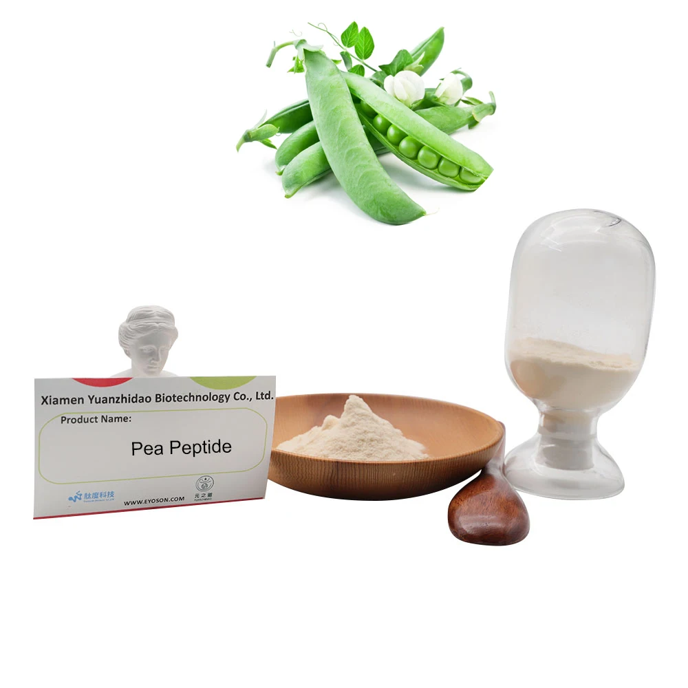 Pea Peptide  Anti-fatigue Antioxidant Blood Health Anti-aging Pea Peptide Powder For Health Manufacture supply pea peptide