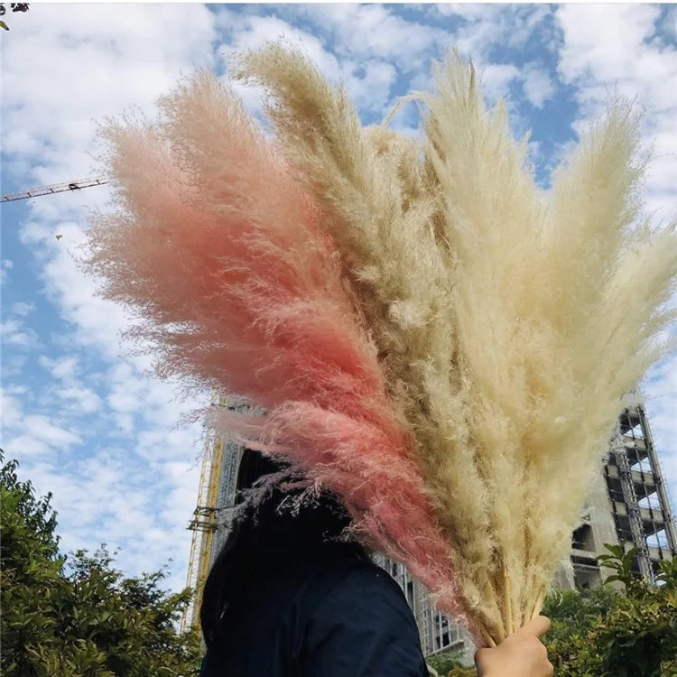 Z-3074 Fast Delivery Nordic Wind Flowerdesign 150CM Artificial Dried Pampas Grass For Wedding