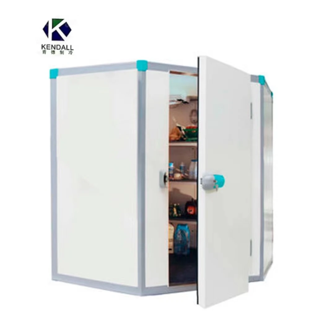 Selectable Voltage Branded Compressor Cold Room Evaporator Blast Freezer Room  for Meet or Fish