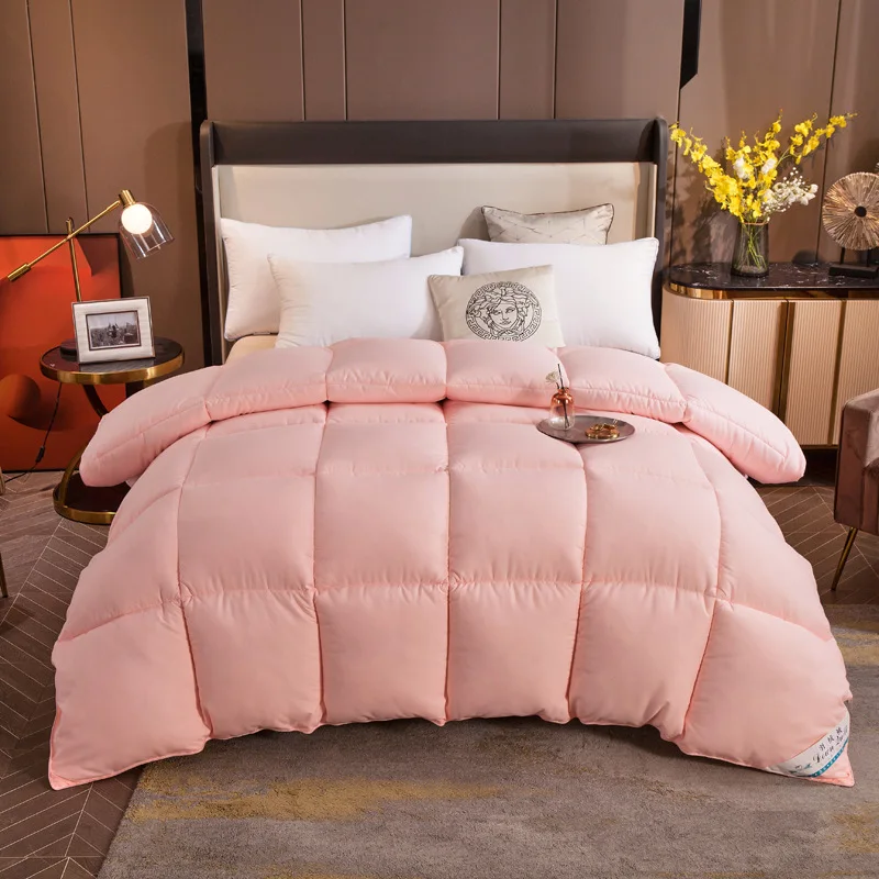 Winter down quilt warm thickening home hotel quilt bedding autumn and winter quilt core cotton