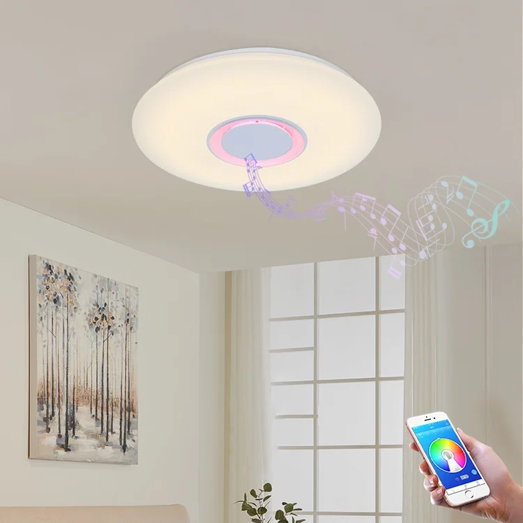 Modern Home Lighting Living Room Surface Mounted Round 24w 36w Acrylic Smart Music Led Ceiling Lamp