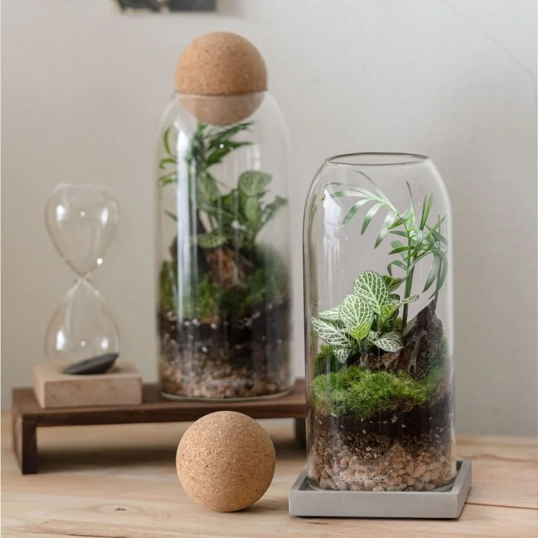 Creative terrarium hydroponic plant vase succulent pot container