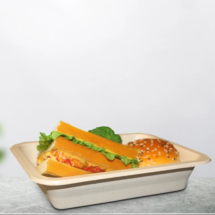 Biodegradable Compostable Bagasse Sugarcane Cutlery Tray