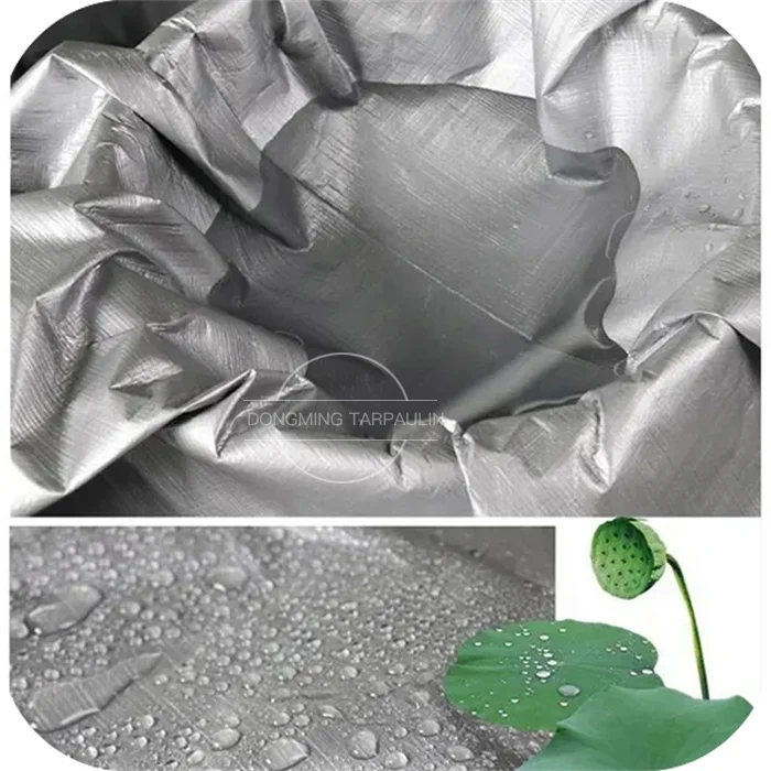 silver tarps (12).jpg