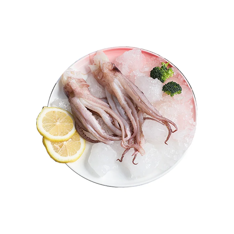 Squid Frozen black squid pacific squid