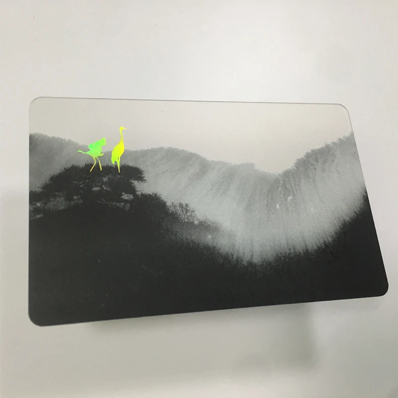 Etched stainless steel metal business card vip Carla wire printed metal VIP membership card