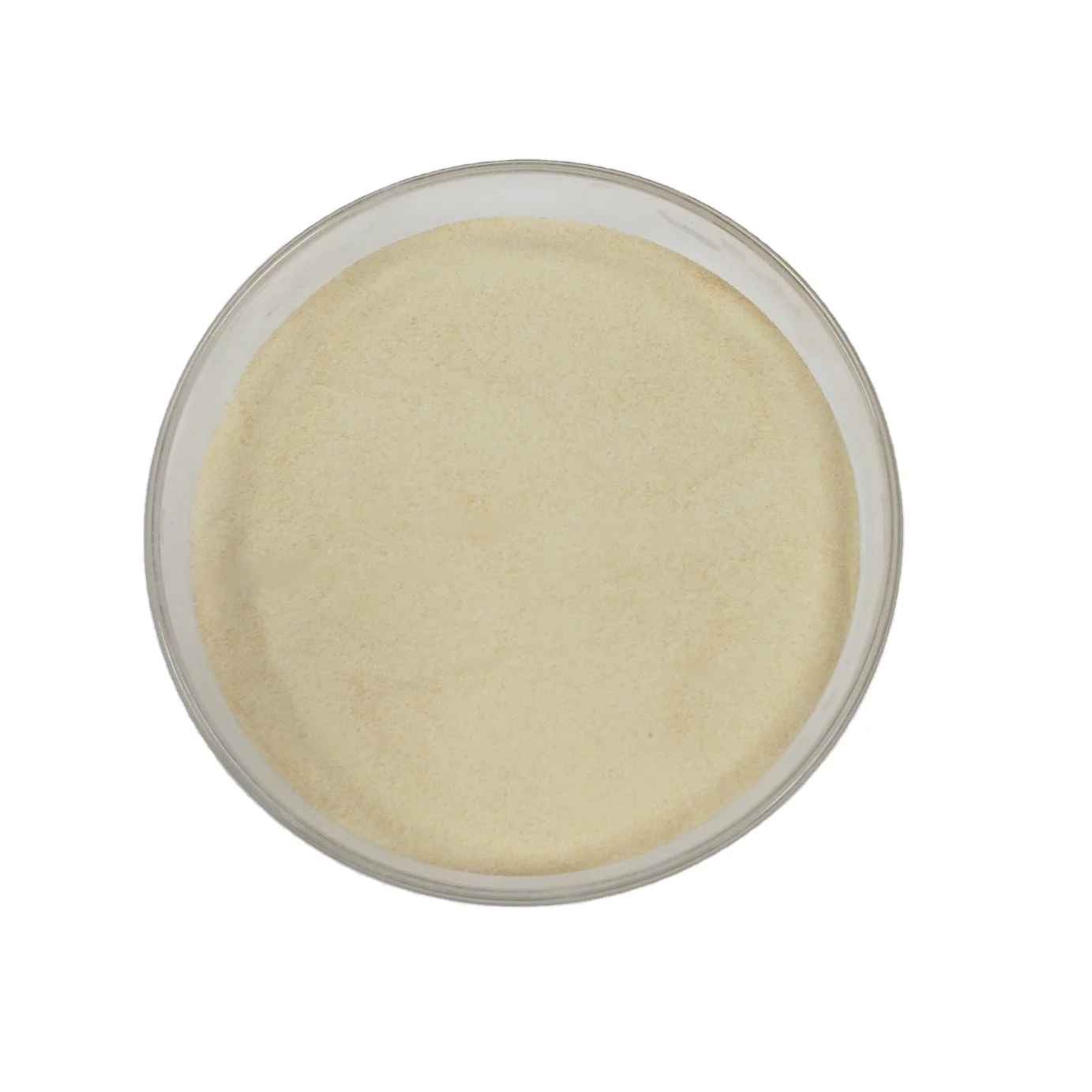 AGP replace solution AFEZYME LYCIN effective to gramnegative and grampositive bacterium