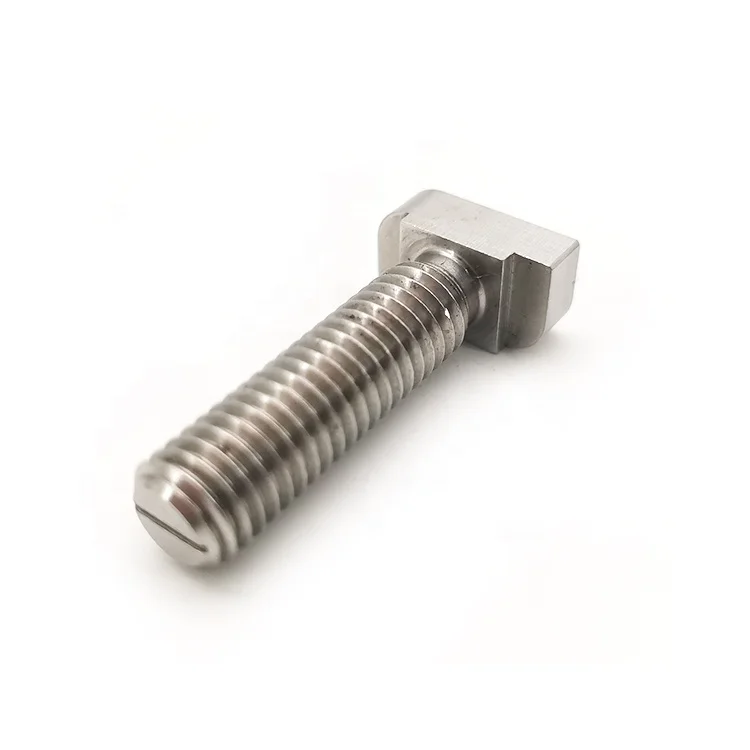 China Factory Custom Stainless Steel 304 Hammer Screw Turning T Head Bolt for Cars