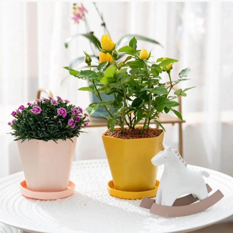 New Garden Macaron Colorful Round Irregular Plastic Bonsai Large Plant Planters Flower Macetas Pot