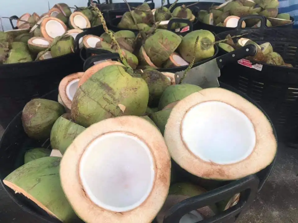 Wholesale Frozen Coconut Meat from Vietnam Cut 1/8 Coconut Meat In Chunk - WHATSAPP 0084 989 322607