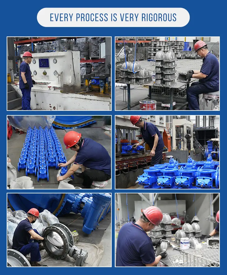 butterfly valve (6).jpg