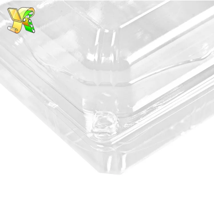 
Wholesale plastic clamshell packaging blister biodegradable clamshell food containers 