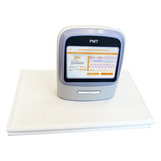 China Manufacturer Factory Direct Pulsed Magnetic Therapy Machine Training Apparatus Physical Therapy Equipments