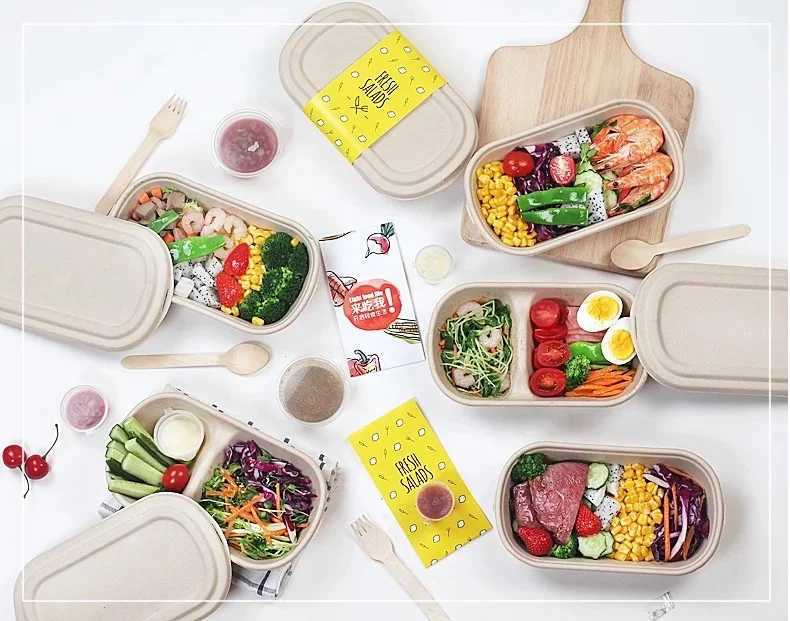 Biodegradable Disposable Sugarcane Bagasse 2 Compartments  Takeaway Food Container  Meal box with Lids