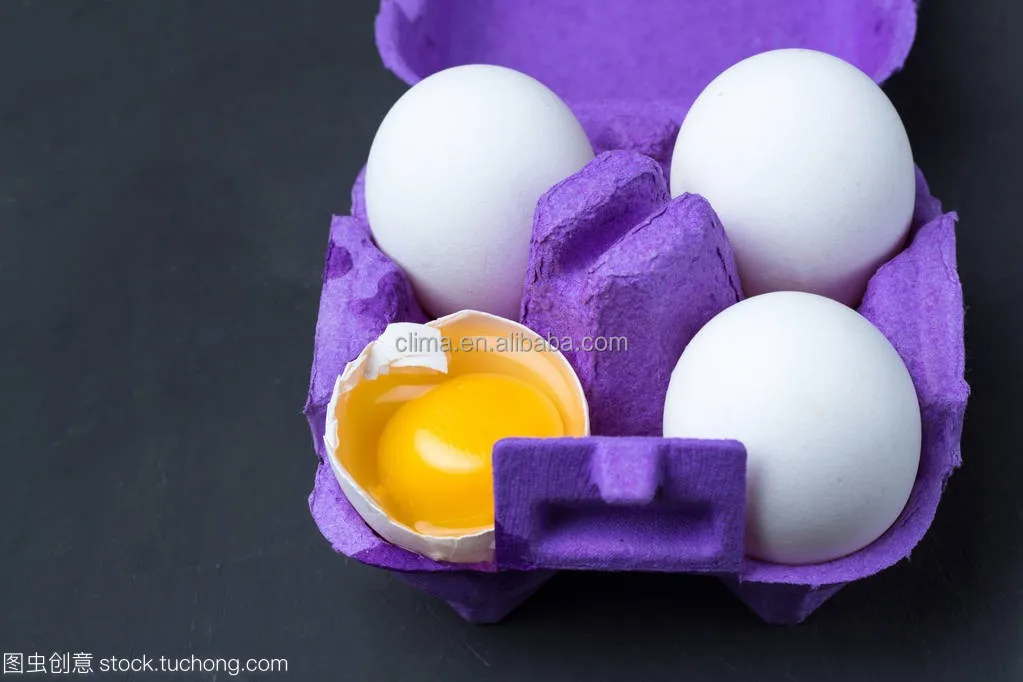 Automatic egg tray and egg box making machine production line cheap products for small business paper box machine